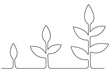 Tohum ana hatları vektöründen bitkisel büyüme işlemlerinin sürekli tek çizgi çizimi