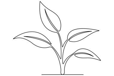 Bitkinin sürekli çizimi bitkiler, tarım ve tohumlar için olabilir.