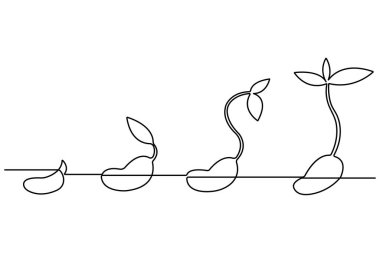 Tohum ana hatları vektöründen bitkisel büyüme işlemlerinin sürekli tek çizgi çizimi