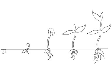 Tohum ana hatları vektöründen bitkisel büyüme işlemlerinin sürekli tek çizgi çizimi