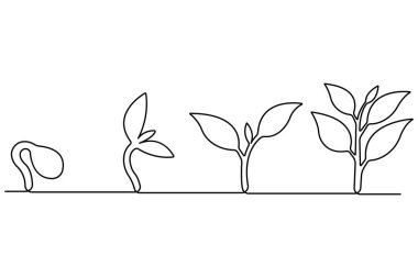 Tohum ana hatları vektöründen bitkisel büyüme işlemlerinin sürekli tek çizgi çizimi