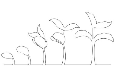 Tohum ana hatları vektöründen bitkisel büyüme işlemlerinin sürekli tek çizgi çizimi