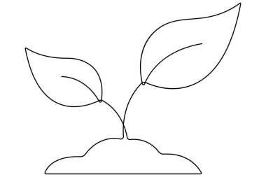 yaprak tek çizgi vektörü