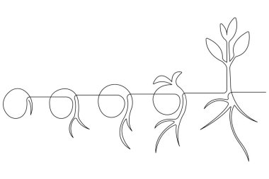 Tohum ana hatları vektöründen bitkisel büyüme işlemlerinin sürekli tek çizgi çizimi