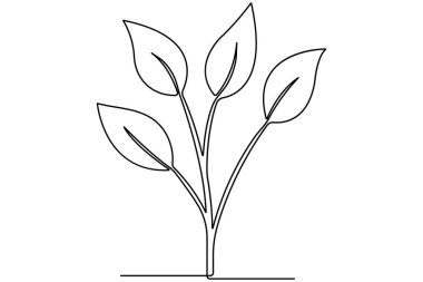 Tohum ana hatları vektöründen bitkisel büyüme işlemlerinin sürekli tek çizgi çizimi