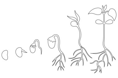 Bitki sürekli büyüyen bir ağaç çizimi çizimi bitki çizgisi çizimi çizimi çizimi