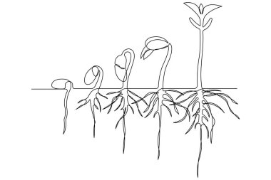 Bitki sürekli büyüyen bir ağaç çizimi çizimi bitki çizgisi çizimi çizimi çizimi