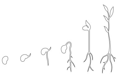 Bitki sürekli büyüyen bir ağaç çizimi çizimi bitki çizgisi çizimi çizimi çizimi