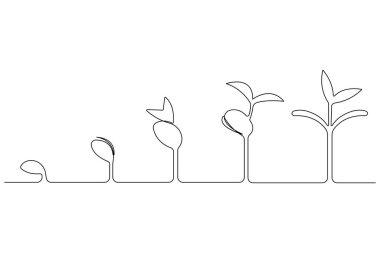 Tohum ana hatları vektöründen bitkisel büyüme işlemlerinin sürekli tek çizgi çizimi