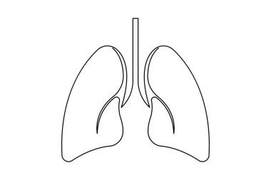 Anatomik insan akciğerleri sürekli bir çizgi çizer. Dinamik tıbbi iç anatomi kavramı