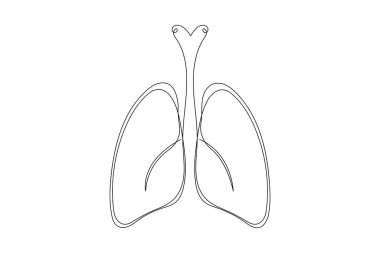 Anatomik insan akciğerleri sürekli bir çizgi çizer. Dinamik tıbbi iç anatomi kavramı
