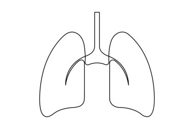 Anatomik insan akciğerleri sürekli bir çizgi çizer. Dinamik tıbbi iç anatomi kavramı