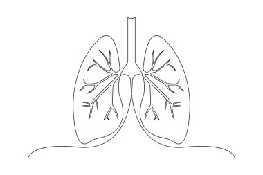 Anatomik insan akciğerleri sürekli bir çizgi çizer. Dinamik tıbbi iç anatomi kavramı