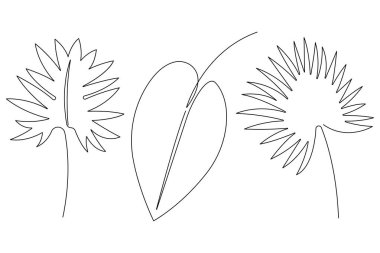 Vektör illüstrasyonu ana hatlı palmiye yaprağı tasarımının sürekli bir çizimi