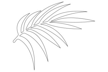 Vektör illüstrasyonu ana hatlı palmiye yaprağı tasarımının sürekli bir çizimi