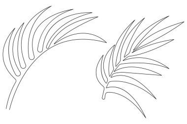 Vektör illüstrasyonu ana hatlı palmiye yaprağı tasarımının sürekli bir çizimi