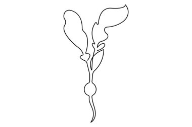 Sağlıklı organik turp ikonu, taze sebze konsepti illüstrasyonunun tek çizgi çizimi