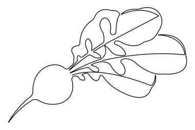 Sağlıklı organik turp ikonu, taze sebze konsepti illüstrasyonunun tek çizgi çizimi