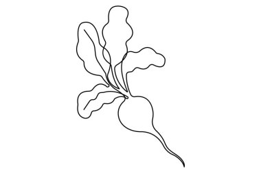 Sağlıklı organik turp ikonu, taze sebze konsepti illüstrasyonunun tek çizgi çizimi