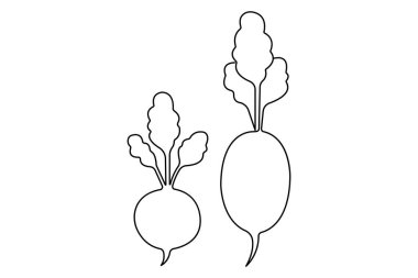Sağlıklı organik turp ikonu, taze sebze konsepti illüstrasyonunun tek çizgi çizimi
