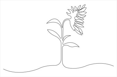 Ayçiçeği aralıksız tek satır sanat ana hatlarını çizer sanat tasarımı minimalisti