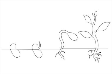 Bitki büyüme sürecini sürekli çizen bir çizgi 