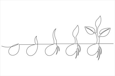 Bitki büyüme sürecini sürekli çizen bir çizgi 