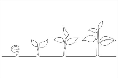 Bitki büyüme sürecini sürekli çizen bir çizgi 