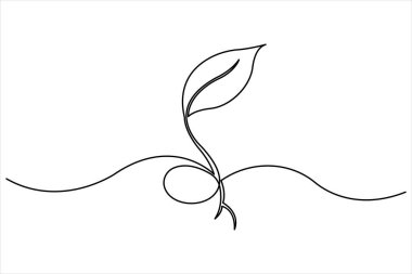 Bitki sürekli tek bir çizgi çiziminde büyür. Basit doğrusal biçimli yaprakları olan filiz bir çizgi vektör illüstrasyonunu izole etti