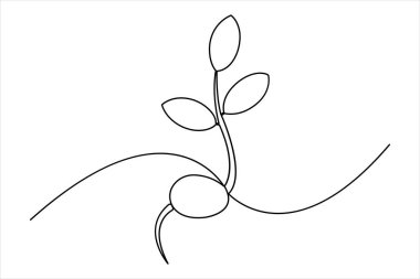 Bitki sürekli tek bir çizgi çiziminde büyür. Basit doğrusal biçimli yaprakları olan filiz bir çizgi vektör illüstrasyonunu izole etti