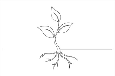 Bitki sürekli tek bir çizgi çiziminde büyür. Basit doğrusal biçimli yaprakları olan filiz bir çizgi vektör illüstrasyonunu izole etti