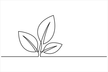 Bitki sürekli tek bir çizgi çiziminde büyür. Basit doğrusal biçimli yaprakları olan filiz bir çizgi vektör illüstrasyonunu izole etti