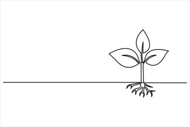 Bitki sürekli tek bir çizgi çiziminde büyür. Basit doğrusal biçimli yaprakları olan filiz bir çizgi vektör illüstrasyonunu izole etti