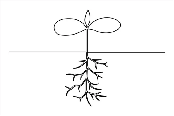 Bitki sürekli tek bir çizgi çiziminde büyür. Basit doğrusal biçimli yaprakları olan filiz bir çizgi vektör illüstrasyonunu izole etti