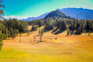 Soerenberg İsviçre Alplerinde Güneşli Sonbahar