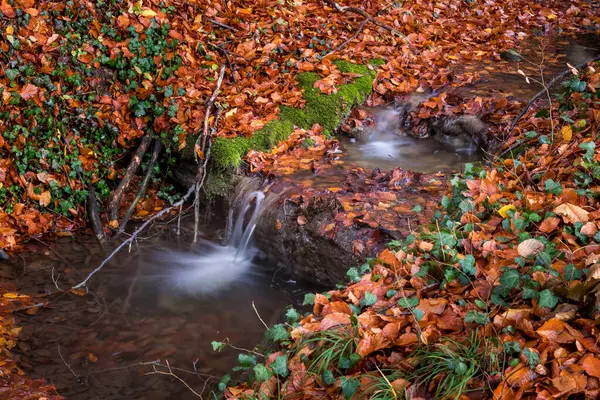 Flowing river in autumn colors