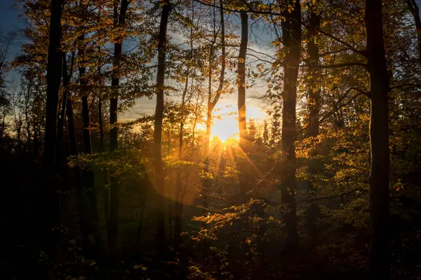 Srenberg İsviçre Alplerinde Güneşli Sonbahar