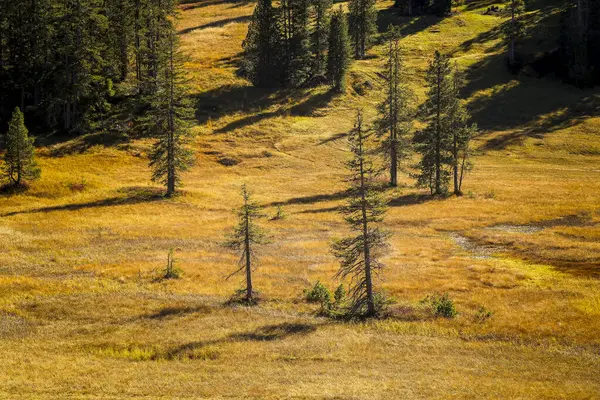 Soerenberg İsviçre Alplerinde Güneşli Sonbahar