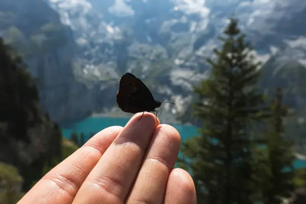 Oeschinen Gölü 'ndeki Kelebek, Huzurlu Doğa
