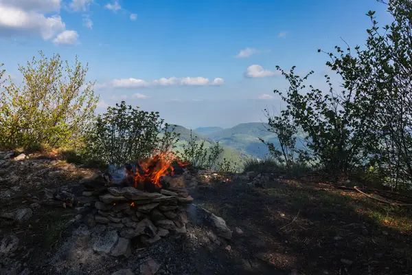 Doğada Yaz Manzarası Görünümleri