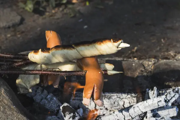Doğada Yaz Manzarası Görünümleri