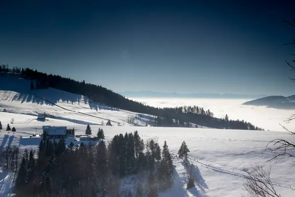 Güneşli ve buzlu Kış Harikalar Diyarı