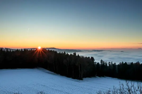 Güneşli ve buzlu Kış Harikalar Diyarı