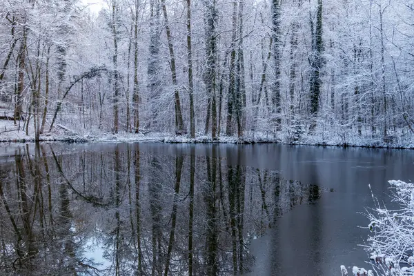 Güneşli ve buzlu Kış Harikalar Diyarı