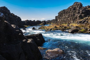 İzlanda 'nın Vahşi ve Tehlikeli Doğası Evcilleştirilmemiş 