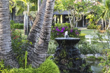 Mauritius 'taki yemyeşil Bahçe Doğal Güzelliğin Tropikal Vahası