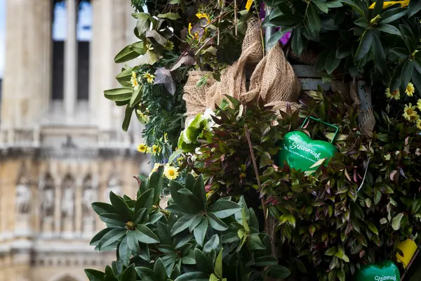 Viyana 'nın İzlenimleri - Trafik Işıkları, Çiçekler ve Çeşmeler