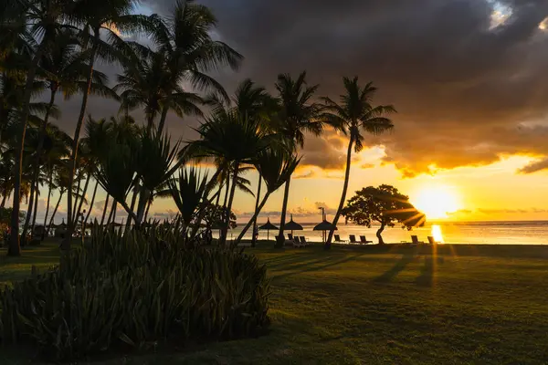 Mauritius Plajı 'nda günbatımı Nefes kesici Tropikal Bir Akşam