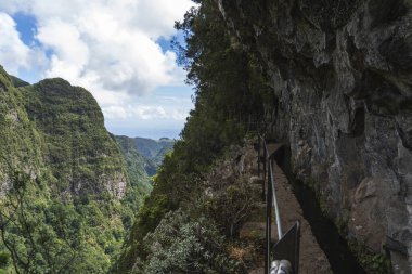 Madeira 'daki Güzel Çiçek Vadisi' ni keşfediyorum.