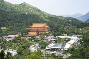 Hong Kong 'da Doğa ile çevrili Majestic Buddha Tapınağı